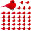 Mini ornamenti cardinale rosso con clip, 36 pezzi 1