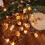 Luci a stringa Acorn 3D Twinkle 3 metri 30 LED Cavo in rame 3