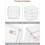 Set di organizer trasparenti per cassetti, 22 pezzi, 4 misure 5