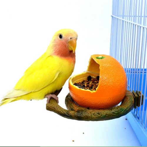 Mangeoire pour oiseaux en plastique orange 6,5 cm 1
