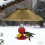 Αδιάβροχο κάλυμμα ταΐστρας πουλιών – Ανθεκτικό σε σκίουρους, βροχή και χειμώνα, 1