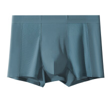 Heren boxershorts van modal met middelhoge taille, elastische tailleband, ademend mesh, slipje voor dagelijks gebruik.