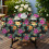 Runde Tischdecke mit Blumenmuster, 152 x 152 cm, Polyester 4