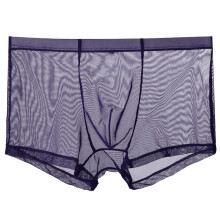 Boxers pour hommes en soie glacée respirante, sous-vêtements transparents et extensibles