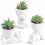 Piante grasse artificiali per decorazione d'interni (3 pezzi) 1