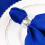 5Pieces17" Polyester Fabric Napkins Royal Blue 4