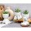 Piante grasse artificiali per decorazione d'interni (3 pezzi) 4