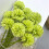 Bouquet di crisantemi e ortensie artificiali (10 pezzi) 4