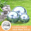 Globo de Jardim Esférico em Aço Inoxidável de 15 cm (6 polegadas) - 1 Peça 7