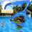 Pond Skimmer Net with Telescopic Aluminum Pole (2 Pack) 3