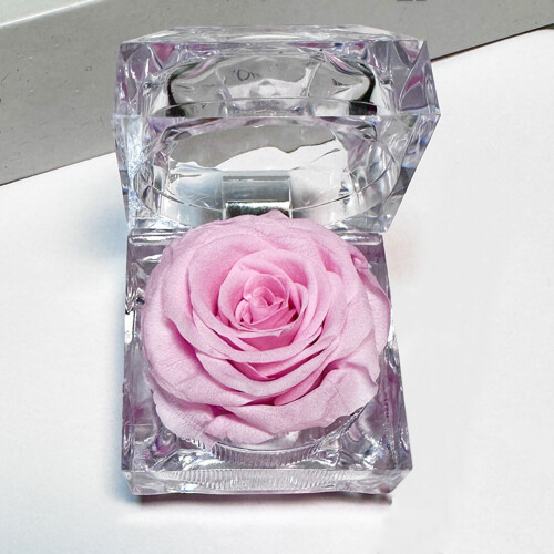 Preserved Rose in Clear Ring Box 1 Piece 2