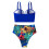 Women's Plus Size Ruffle High-Waisted Bikini Set Blue XXL 5