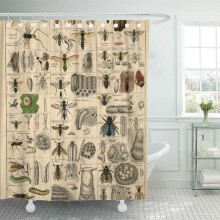 Zasłona prysznicowa Biologia Vintage Entomologia Taksonomia Natura Odwracalna Pszczoły Osy 66"x72" Wystrój domu Wodoodporna Łazienka Zestaw