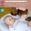 BEABA Cocoonababy - BEABA - Jersey Moon met hoeslaken 2