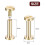 30Pack Brass Chicago Screws, 15x8mm Flat  Screw Back Binding Post Nail Stud Rivets Fastener for DIY 6