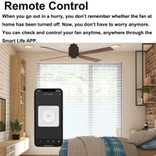 Wifi Fan 5 Speed Control EU Ceiling Fan Rotary/Knob Switches Tuya Remote for Alexa Home(Black)