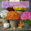Funsdecor artificial sunset mums orange 5-bundle 4