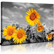 Sonnenblumen-Leinwanddrucke, 12" x 16" (30 x 40 cm), gerahmt
