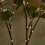 Warm White LED Tree Light Garland with Olive Leaf Design 20 8