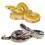 Simulare Boa Constrictor, Model de animal sălbatic șarpe 2