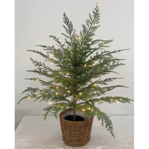 Norfolk Pine Christmas Tree 2FT pre-lit with 50 LED lights 2