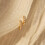 Gold Pearl Stud Earrings 14K Gold Plated 1 Pair 5