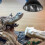 Skydd för värmelampor till reptiler, järnnät, 1-pack 7
