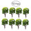 Green Tree Scale Model Trees with Base Shrub Tufts Scenery 4