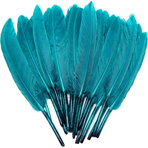 120 τεμάχια φτερό χήνας Peacock Blue Goose, φυσικό μέγεθος 4-6 ίντσες 10-15 εκ. για
