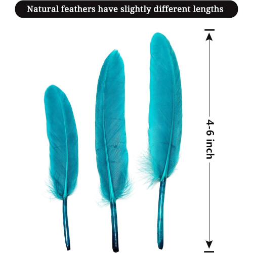 120 τεμάχια φτερό χήνας Peacock Blue Goose, φυσικό μέγεθος 4-6 ίντσες 10-15 εκ. για 1