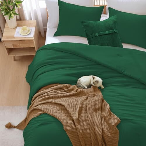 King Comforter Set Emerald Green 3-Piece Prewashed 2