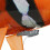 Requin volant télécommandé, jouet gonflable en forme de poisson-clown, cadeau 5