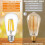 4 τεμάχια E27 Ρετρό Λάμπα LED Edison με Νήμα, Λάμπα AC220V, ST64 Γυάλινη Λάμπα, Vintage Κερί 5