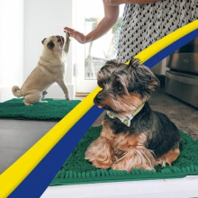 Alfombra de entrada para perros de microfibra superabsorbente, antideslizante y lavable, de secado rápido, color verde oscuro, 71 x 46 cm.