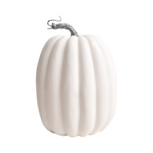 Witte plastic pompoendecoratie van 20 cm, 1 stuk – Seizoensdecoratie voor herfst, Halloween en Thanksgiving