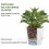 Selbstbewässernde Pflanztöpfe, weiß, 2er-Pack (23 cm) 3