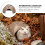 Eremittkrepsskallterrariumdekor, reptilskall, kokosnøttskinn - stor 5