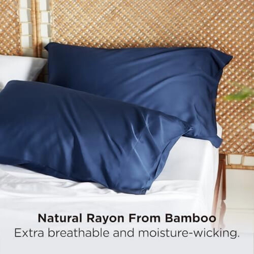 Taies d'oreiller en rayonne de bambou, format King, lot de 2 2