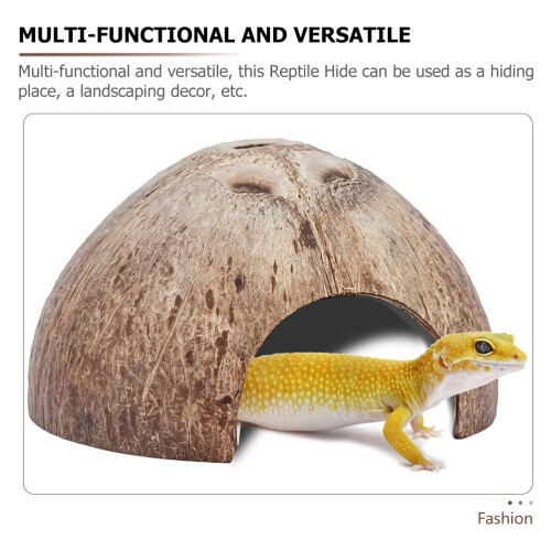 Eremittkrepsskallterrariumdekor, reptilskall, kokosnøttskinn - stor 1