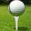 Houten golftees, multi-set, 50 stuks. 8