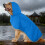 Capa de chuva transparente para cães com capuz, detalhes refletivos e dupla camada. 4