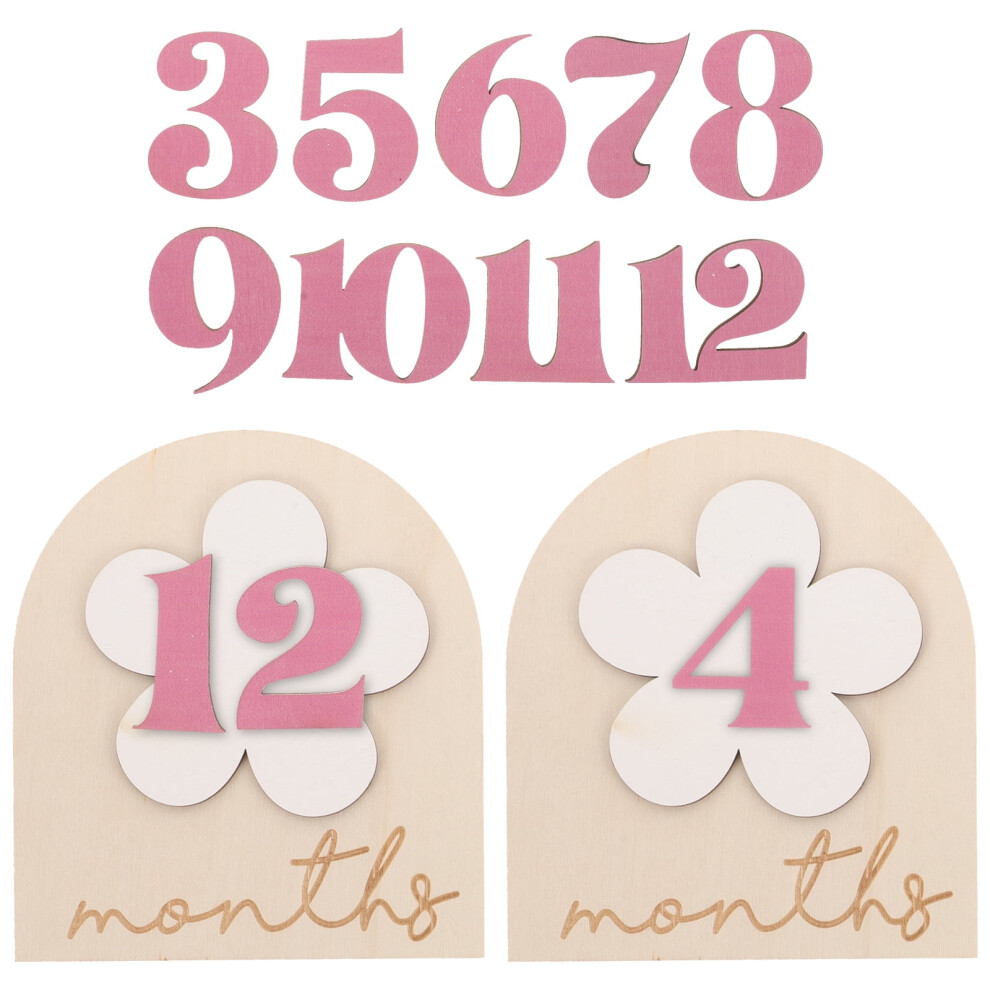 Wooden Monthly Milestone Sign for Newborns
