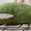 Μαξιλαροθήκες σενίλ σε χρώμα Moss Green 20x20 ιντσών, συσκευασία των 2 4