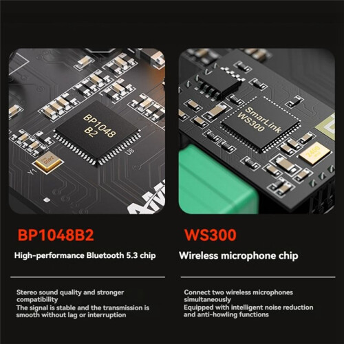 5.3 TPA3116D2 Class D Power Amplifier 2.0 Audio Amplifier 2x100W 2 Microphone USB Input with Remote EU PLUG 2