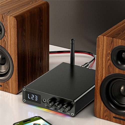 Power Amplifier 2PCS TPA3116D2  5.3 Class D 2.0 Audio Amplifier 200W USB Input with Remote Control Eu Plug
