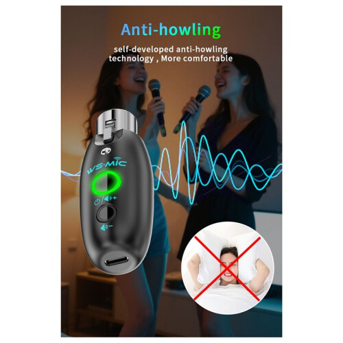 2.4GHZ Wireless Microphone Transceiver One-to-Two HD Sound Quality Automatic Noise Reduction Adjustable Volume