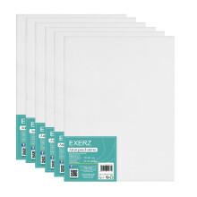 Exerz 30x40cm Canvas Panels 3mm 6pcs 280gsm 100% Cotton/Blank Artist Canvas Board/Triple Primed/Acid Free/Medium Grain - Oil & Acrylic Painting for