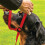 Gencon - Small Size Anti Pull Dog Headcollar - Soft & Gentle Control - Practical Dog Training & Behaviour Aid - Left Hand - UK Made - Doesn't Include 5