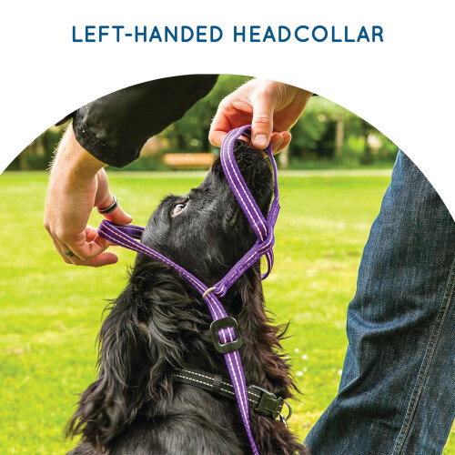 Gencon - Small Size Anti Pull Dog Headcollar - Soft & Gentle Control - Practical Dog Training & Behaviour Aid - Left Hand - UK Made - Doesn't Include 2