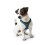 Hunter Hunter - Arnes Hilo Comfort Xxs Blue 5